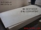 供应临沂天财木业CNTIMCARB家具板CARB胶合板多层板夹板